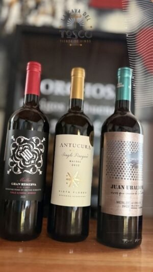 Combo Premium de Marzo | Selección Alta Gama del Valle de Uco