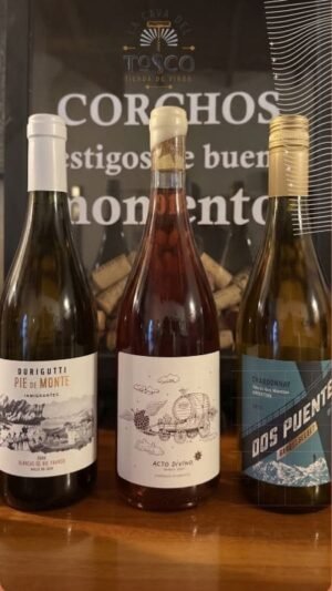 Selección de Septiembre - Combo Variadito | Animate a Descubrir Estilos Nuevos