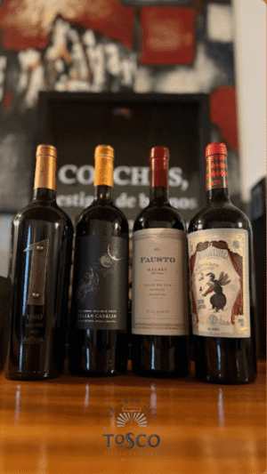 Pack Temático | 4 Exponentes de los Terroir de Valle de Uco