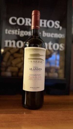 Alandes Concrete Tank Red Blend