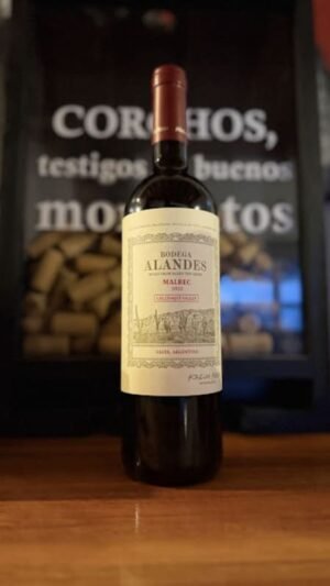 Alandes Malbec Calchaquí