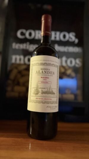 Alandes Malbec Patagonia