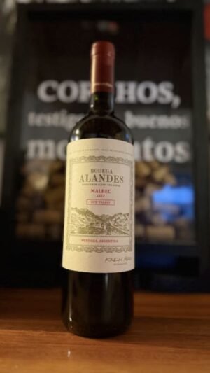 Alandes Malbec Valle de Uco