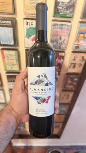 Almandino Cabernet Franc - Bodega Dal Borgo