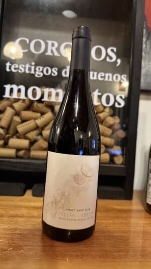 Julián Cabalin Pinot Noir