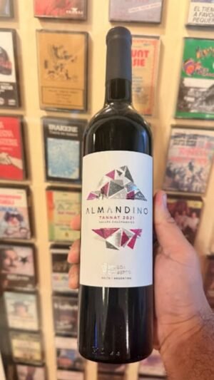 Almandino Tannat - Bodega Dal Borgo