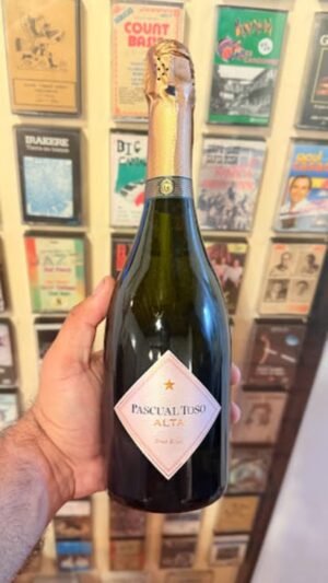 Pascual Toso Alta Brut Rosé