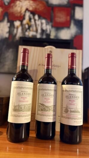 Alandes Tríada de Malbecs / Caja de Madera x 3 Botellas