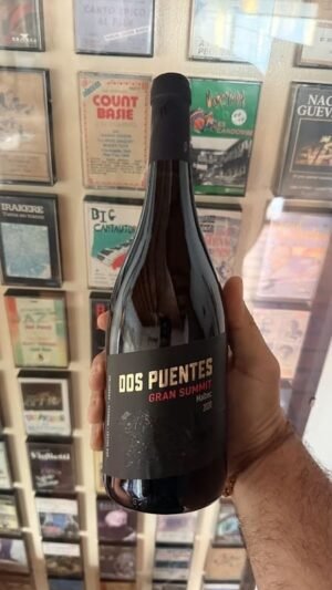 Dos Puentes Gran Summit Malbec